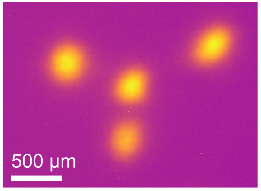 This picture shows an X-ray image of the electron beam in TRIB-mode where two orbits co-exist: the regular orbit and the second one winding around it closing only after three revolutions.</p> <p>&nbsp;</p> <p>