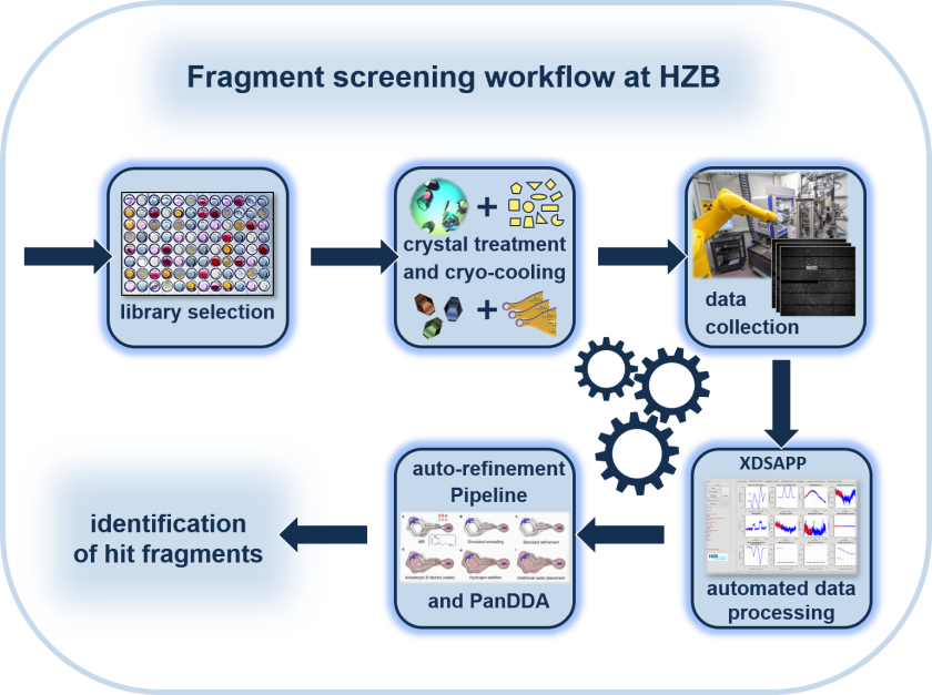 The fragment libraries, which the MX team has assembled together with a group from the University of Marburg, are also available to users at BESSY II. The diagram shows the fragment-screening workflow.