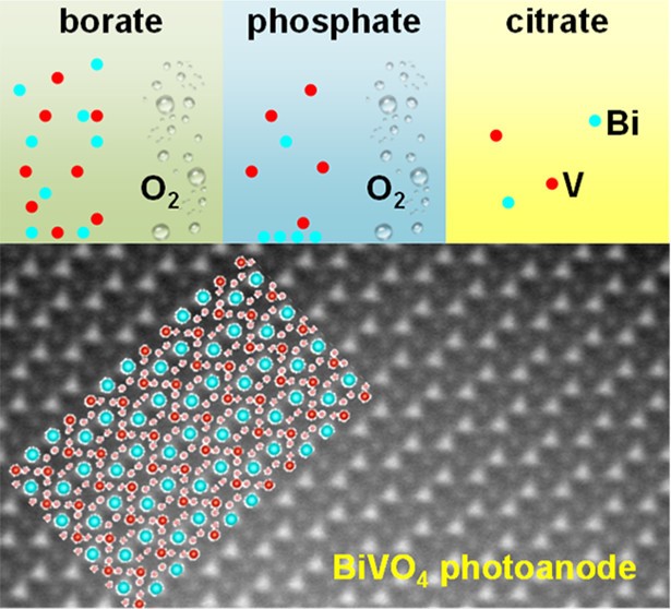The results allow to assess differences in the stability of BiVO<sub>4</sub> in various pH-buffered borate, phosphate and citrate electrolytes.