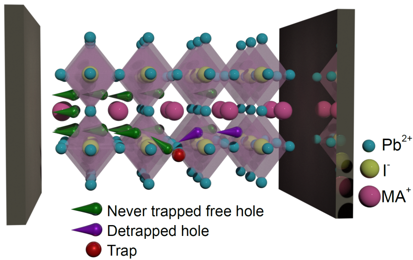 Five different types of defects in MAPI-perovskites were examined and characterised. The result: a large proportion of defects is not trapping the charge carriers for long.
