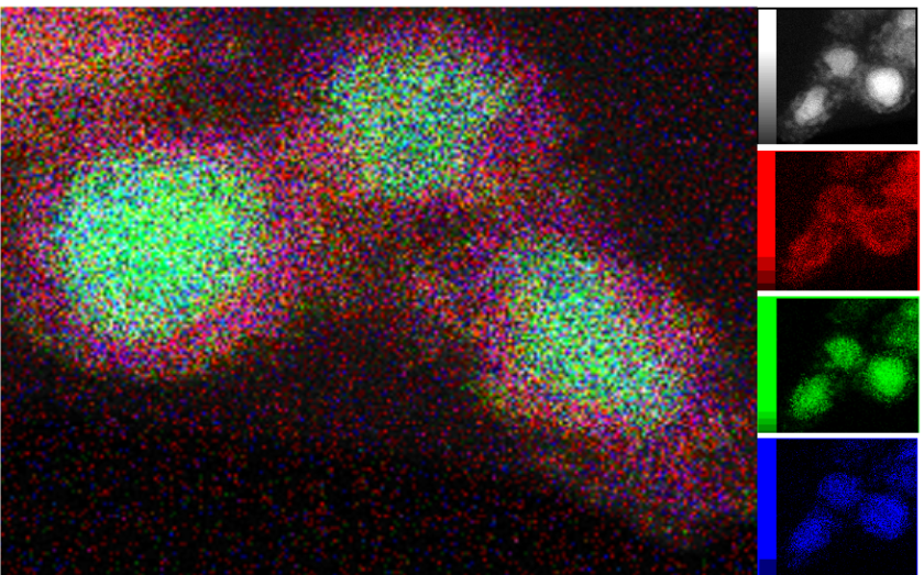 Die Transmissionselektronenmikroskopie-Aufnahme (TEM, grau) der katalytisch aktiven Phase wurde hier mit R&ouml;ntgenspektroskopie-Analysen kombiniert, um die Verteilung von Nickel (gr&uuml;n), Silizium (blau) und Sauerstoff (rot) zu kartieren.