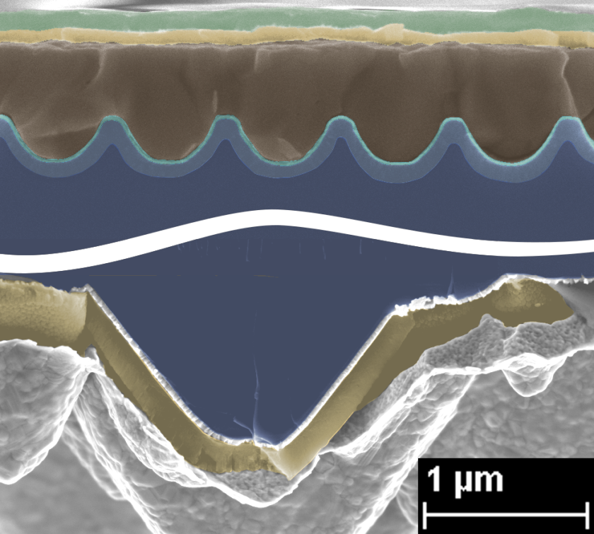 Rasterelektronen-Mikroskopie von Perowskit-Silizium-Tandemzellen im Querschnitt mit Nanotextur und R&uuml;ckreflektorschicht (golden).