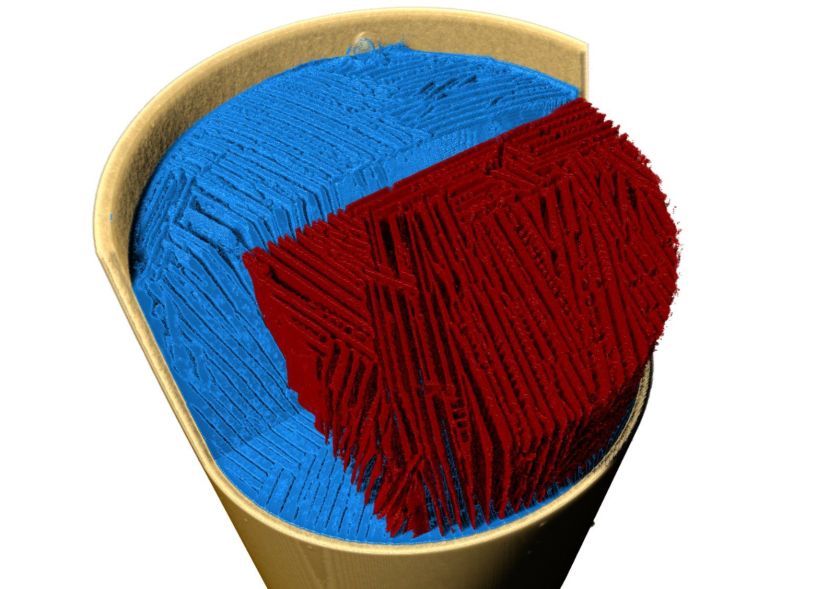 Das 3D-Tomogramm zeigt einen Querschnitt durch die erstarrte Probe, in der sich zwei Phasen voneinander getrennt haben: die Eiskristallphase in blau und die Zuckerphase in rot. Die lamellare Struktur wurde von den Eiskristallen geformt.