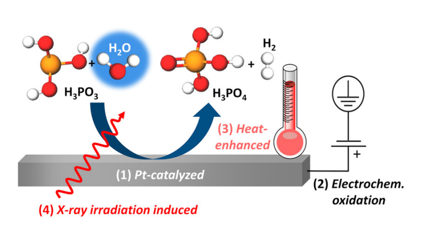 The illustration shows four different oxidation pathways (1-4) of aqueous phosphoric acid (H<sub>3</sub>PO<sub>3</sub>), which could be elucidated by XANES at BESSY II. All these reactions depend on the humidity present.