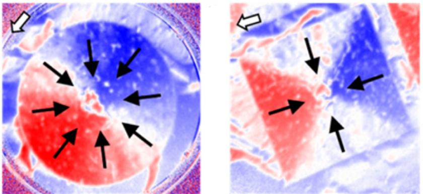 The team led by Sergio Valencia analysed the samples with photoemission electron microscopy using XMCD at BESSY II. The images show the radially aligned spin textures in a round and a square sample consisting of a ferromagnetic material on a superconducting YBCO island. The white arrow shows the incident X-ray beam.