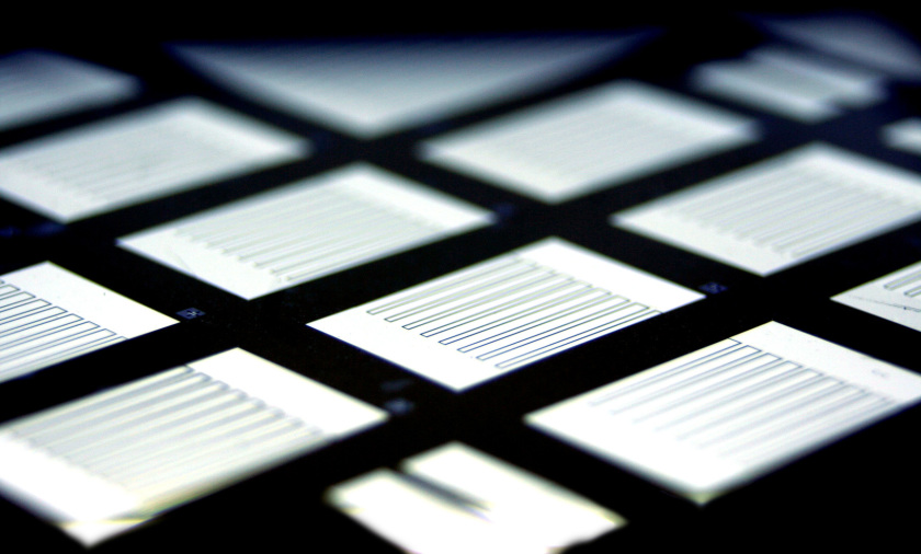 Comb-shaped, interdigitated metal contacts on the side facing<br />away from the sun of back-contact silicon heterojunction solar<br />cells. Pictured are several test cells on a single silicon wafer.<br />Image source: HZB/Jan Haschke