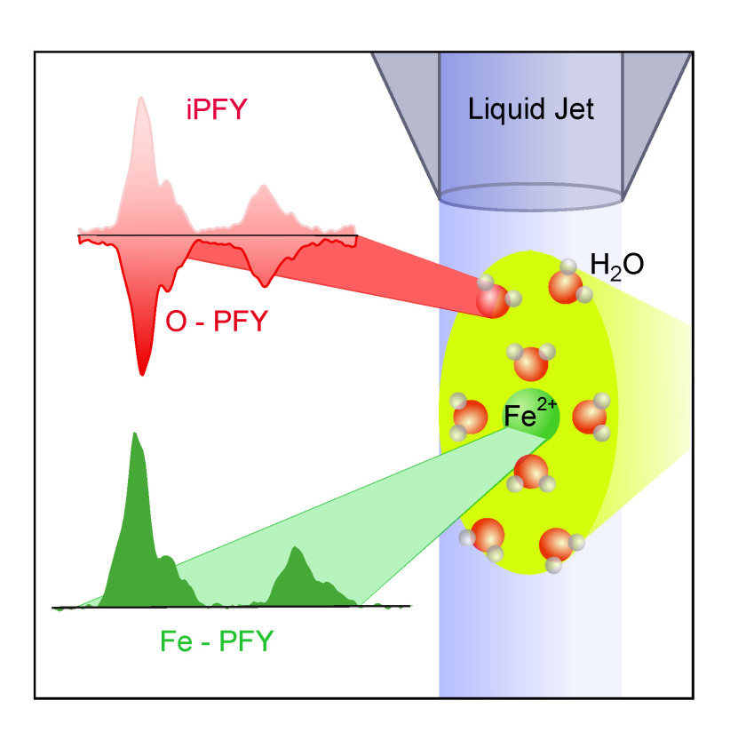 Metal ions in solution can be examined using soft X-ray<br />radiation. In addition to metal ions, the free fluid stream<br />in the vacuum also contains oxygen, which, following X-ray<br />irradiation, begins to glow, ultimately affecting metal ion<br /> absorption. Researchers can now calculate the metal ions’<br /> absorptive strength and make inferences regarding the<br />ions' electronic structures.<br />
Fig: HZB
