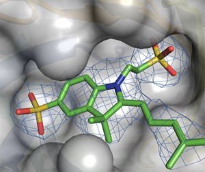 Entwicklung neuer Medikamente: Proteinstrukturen <br />knnen mit Synchronstrahlung am HZB <br />hervorragend analysiert werden.