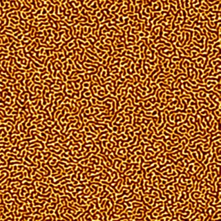 Magnetic force microscope image of a 10 by 10 micron sample<br />showing the magnetic domains' labyrinthine structure.<br />