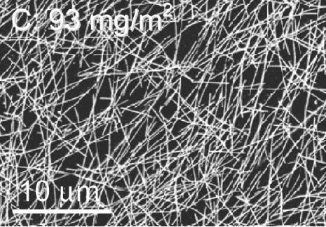 Rasterelektronenmikroskopische Aufnahme von Nanodrhten  aus Silber mit Durchmessern von 0,1 Mikrometern und Lngen  zwischen 5  und 10 Mikrometern. 