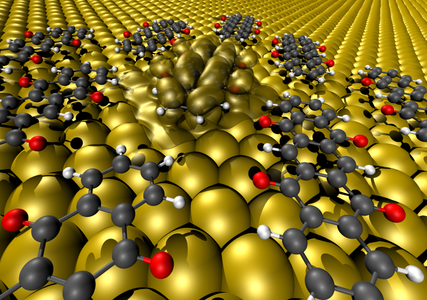 Upon contact between the oxygen atoms protruding from the backbone and the metal, the molecules' internal structure changed in such a way that they lost their semiconducting properties and instead adopted the metallic properties of the surface.</br>