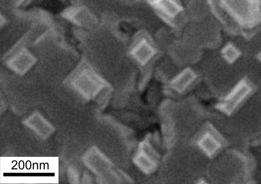 Scanning electron microscopy image of the sample corresponding to a top view on the nanopillar structure. 