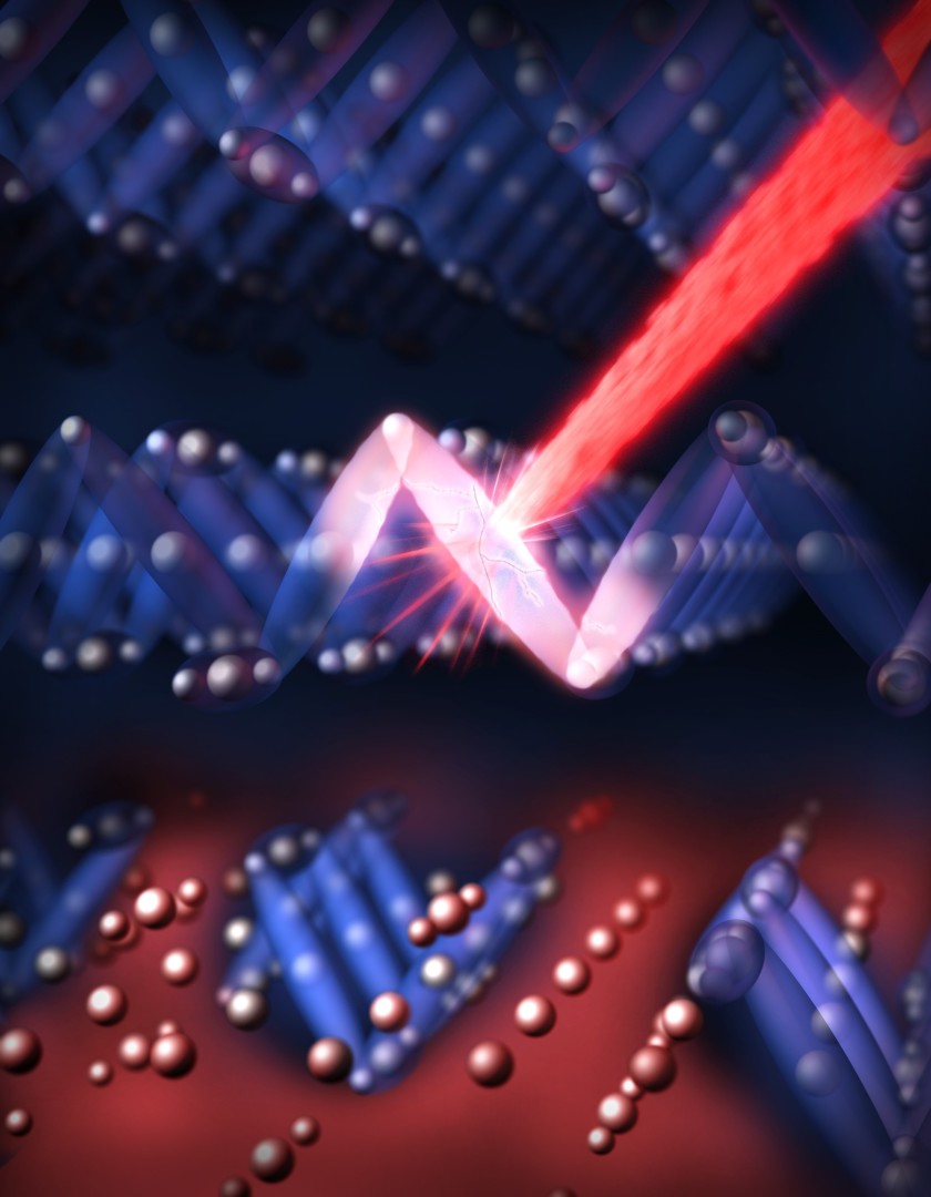 Ein optischer Laserblitz (rot) zerstört die elektronische Ordnung (blau) in Magnetit und schaltet den Zustand des Material innerhalb eines Billionstels einer Sekunde von isolierend zu leitend um. 