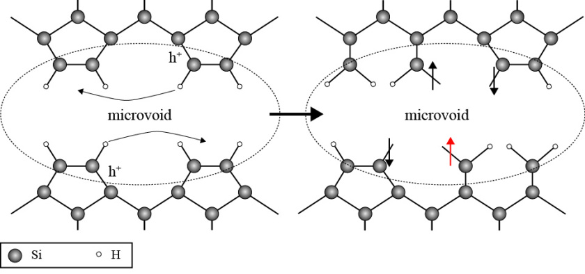 In the initial state (left), the voids' internal surfaces are saturated with hydrogen atoms so that no defects are observed. Light-induced charge carriers (h<sup>+</sup>) destabilize atomic bonds. The breaking of atomic bonds causes defects (indicated by the vertical arrows on the right hand side), which translates to reduced solar cell efficiency.