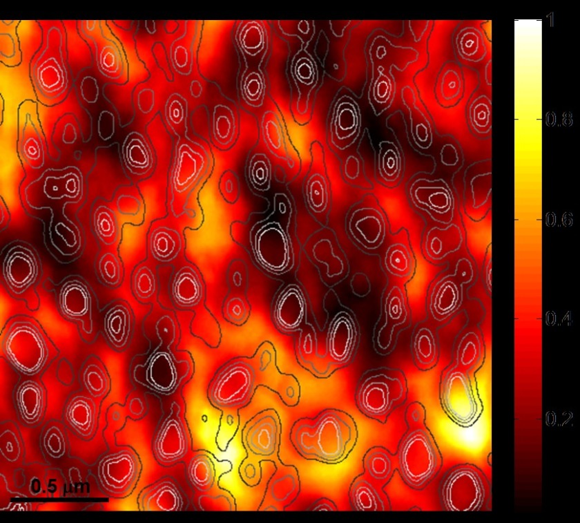 Zu sehen ist die Topographie der Probenoberfl&auml;che (wei&szlig;e Linien um die Nano-partikel) sowie die lokalen optischen Anregungen. Die Aufnahme zeigt mehrere  &bdquo;Hot spots&ldquo; (gelb), die durch Wechsel-wirkungen der Nanoteilchen mit dem Licht und auch untereinander entstehen.<br />