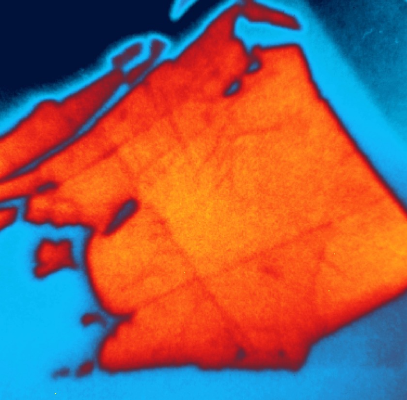 Die Probe besteht aus einer Lage Wolframselenid (orange), die auf einer Schicht aus Molybd&auml;nsulfid (blau) aufgebracht ist. Untersuchungen  mit dem SPEEM-Mikroskop an BESSY II zeigen, dass durch Ladungstransfer zwischen den beiden Halbleiterschichten ein elektrisches Potential von bis zu 400meV besteht. 