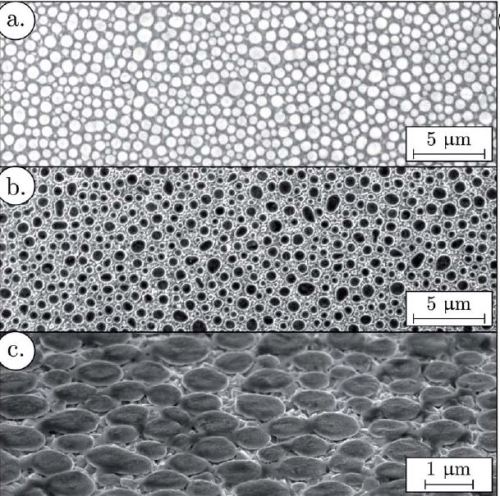Ammonium tungstate/PSS film surface:  (a) SEM picture before pyrolysis; (b &amp; c) SEM picture after pyrolysis. 