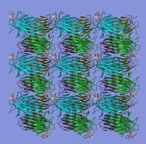 Arrangement of protein concanavalin A molecules in two different protein crystalline frameworks.