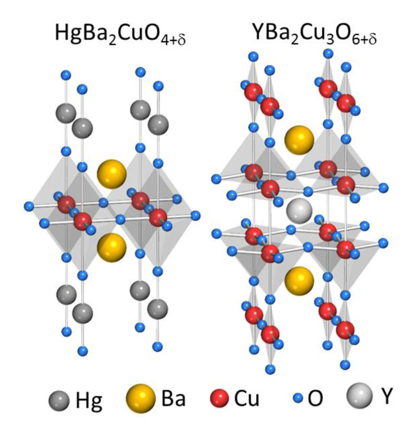 Kristallstrukturen von HgBa<sub>2</sub>CuO<sub>4</sub>+ and YBa<sub>2</sub>Cu<sub>3</sub>O<sub>6</sub>.