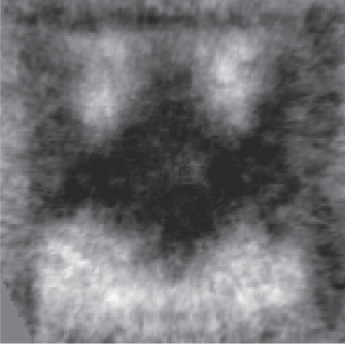 <span class="imageCaption">Researchers at PSI spotted a curious black-and-white magnetic substructure on a five-by-five micrometre square &ndash; and were reminded of the stylised Batman logo. The black areas reveal where the magnetisation is pointing downwards, i.e. into the picture; the white ones where it is pointing upwards. <br /></span>