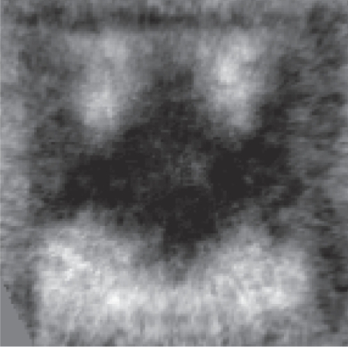 <span class="imageCaption">Forschende am PSI erblickten auf einem f&uuml;nf mal f&uuml;nf Mikrometer kleinen Quadrat eine kuriose magnetische Substruktur schwarz auf weiss &ndash; und f&uuml;hlten sich an die stilisierte Fledermaus des Batman-Logos erinnert. Die schwarzen Bereiche zeigen an, wo die Magnetisierung nach unten weist, also ins Bild hinein; in den weissen weist sie nach oben.<br /></span>