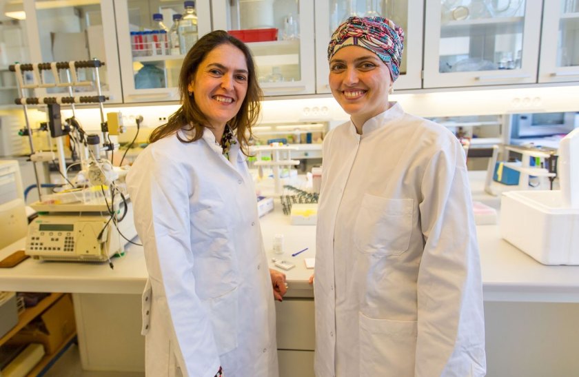 <span>Heloisa Bordallo und Ana Benetti, University of Copenhagen, collaborate in the development of a strong material for tooth fillings made out of glass ionomer cement. <br /></span>