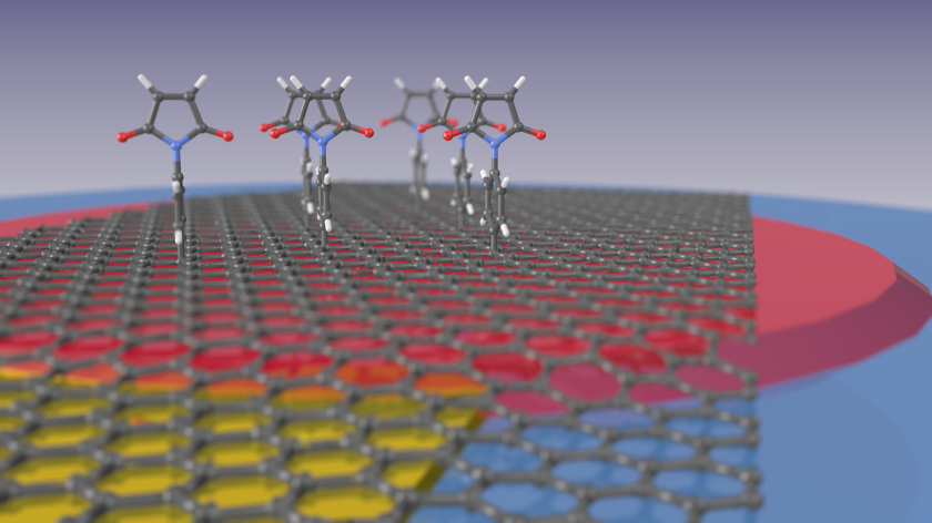 The illustration shows how maleimide compounds bind to the graphene surface. The graphene monolayer lies on a thin film of silicon nitride (red) that in turn is on a quartz microbalance (blue) and can be subjected to a potential via a gold contact (yellow).<br /><br />Illustration: Marc Gluba/HZB