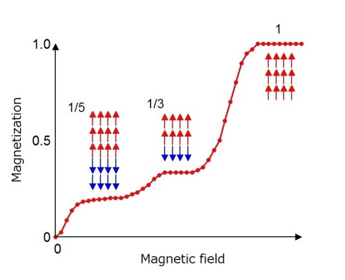 Die Probe zeigt Plateaus in der Magnetisierung die mit unterschiedlichen Spin-Anordnungen verbunden sind.