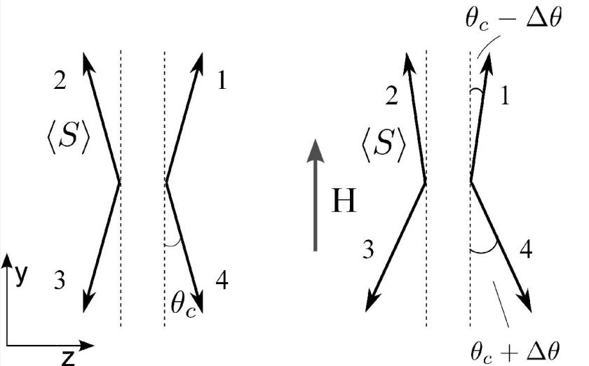 The magnetic structure in fields applied along b. The small field-induced difference in canting angle between the two spin pairs (1,2) and (3,4) is evident.