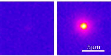 Eine Infrarotkamera erfasst die Lumineszenz (Abgabe von Licht) nach der optischen Anregung  der beiden Nanostrukturen. 
