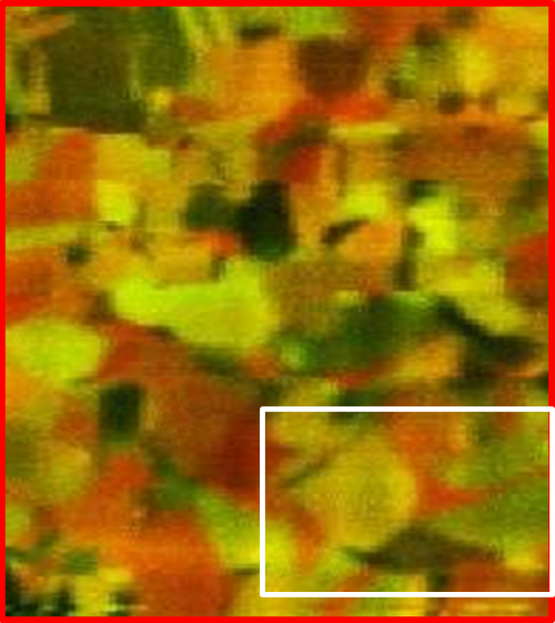Composite Raman intensity-distribution map on a polycrystalline CuInSe<sub>2</sub> thin film.