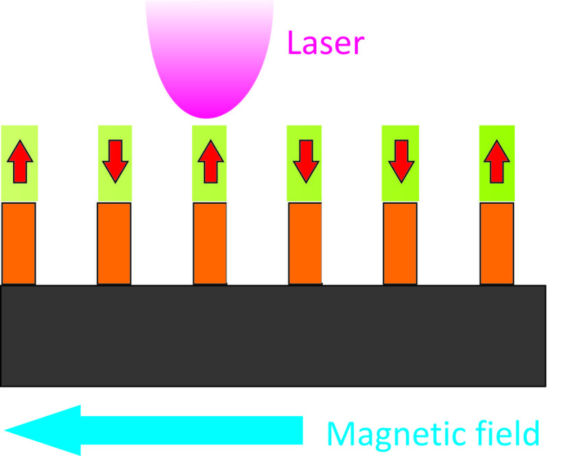 Auf der Membran liegt eine extrem d&uuml;nne Schicht aus Dysprosium-Kobalt (gr&uuml;n). Die magnetischen Momente des DyCo<sub>5</sub>-Films ragen senkrecht aus der Ebene heraus. Durch ein &auml;u&szlig;eres Magnetfeld lassen sie sich nicht umorientieren, Daten sind so stabil gespeichert. Mit einem Laser k&ouml;nnte ein einzelnes Bit lokal erw&auml;rmt werden. 