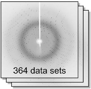 The newly developed expert system was used to analyse 364 data sets of a specidfic protein crystal, soaked in different fragments.
