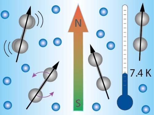 Die zweiatomaren Nickel-Ionen (grau) sind bei tiefen Temperaturen in einer RF-Ionenfalle gefangen, dabei dient kaltes Helium-Gas (blau) zur W&auml;rmeabfuhr. Das magnetische Feld richtet die Ionen aus.