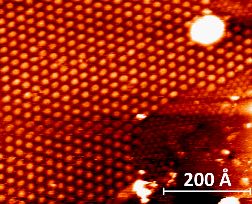 Scanning Tunneling Microscopy shows the regular corrugation pattern of graphene over clusters of gold.