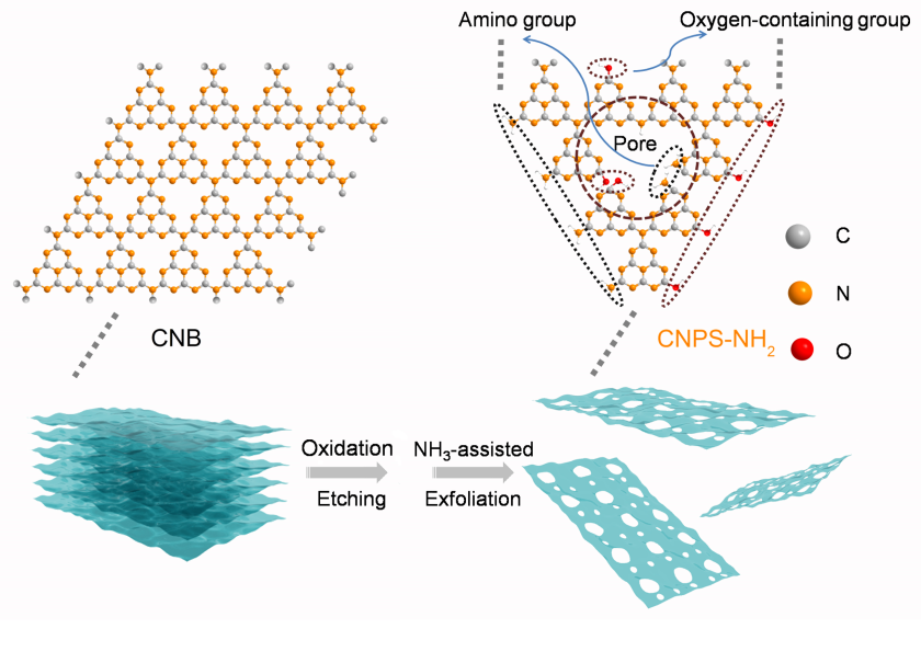 A heat treatment produced samples consisting of individual nanolayers with large pores containing different amino groups with specific functionalities. 