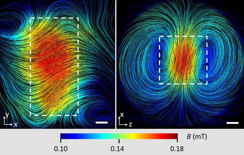 Die Bilder zeigen den Verlauf der magnetischen Feldlinien im Inneren eines supraleitenden Blei-Quaders in zwei verschiedenen Schnittebenen (gestrichelter Umriss der Bleiprobe). Der Skalenstrich entspricht 5 mm. 
