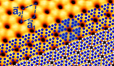 Die STM-Aufnahme zeigt Blauen Phosphor auf einem Gold-Substrat. Blau eingezeichnet sind die errechneten Positionen der leicht erh&ouml;hten P-Atome, wei&szlig;, die der tiefer liegenden. Im STM-Bild zeigen sich Gruppen aus sechs erh&ouml;hten P-Atomen als Dreiecke. 