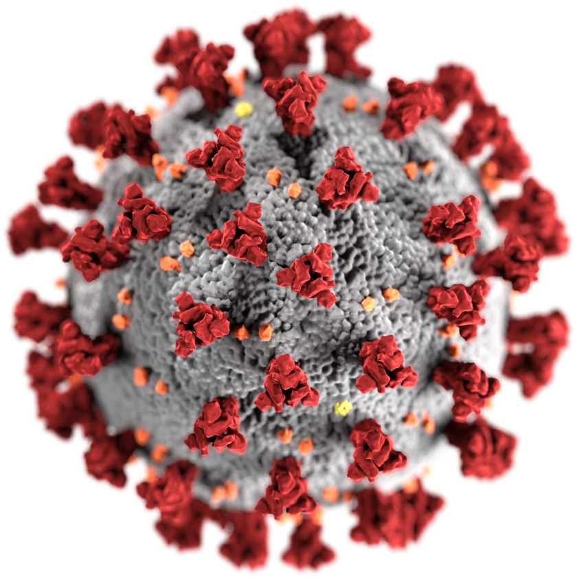 Ein neuer Corona-Virus (SARS-CoV-2) breitet sich weltweit aus und kann Lungenentz&uuml;ndung verursachen (COVID-19).