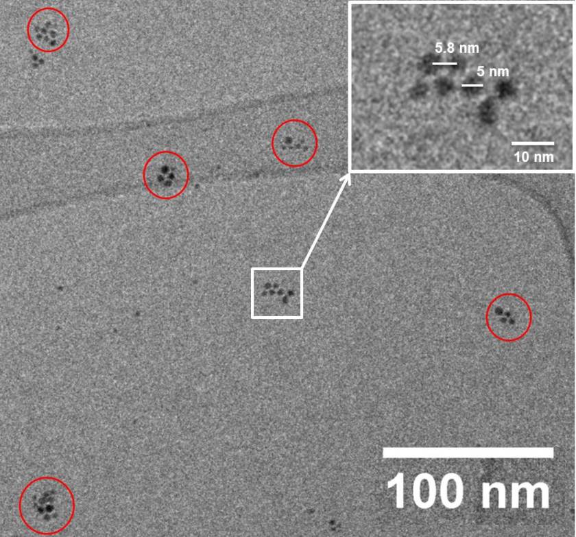Cryogenic TEM micrograph of gold nanoparticles (Au-NP) in DES-solvent. Sputtering duration 300 s. Red circles show the different domains of self-assembled Au-NPs. The inset shows an enlarged image of one particular domain of self-assembled Au-NPs.<br />