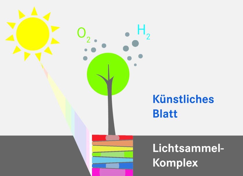 K&uuml;nstliche Katalysatoren ahmen das Prinzip der Photosynthese nach.<br />