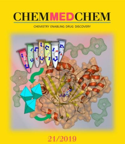 Auf dem Cover kündigt die Zeitschrift Chemmedchem die Arbeit an.