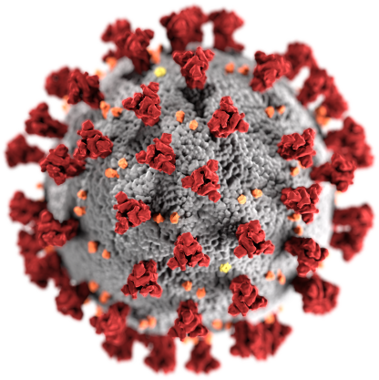 Ein neuer Corona-Virus (SARS-CoV-2) breitet sich weltweit aus und kann Lungenentzündung verursachen (COVID-19).