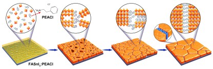 The illustration shows the changes in the structure of FASnI3:PEACl films during treatment at different temperatures.