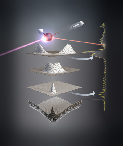 Resonantes Röntgenlicht (lila) erzeugt einen rumpfangeregten Zustand am Sauerstoffatom (rot) des H2O-Moleküls. Dies verursacht ultraschnelle Protonendynamik. Die Potentialfläche des elektronischen Grundzustands (unten) und die Bindungsdynamik werden durch spektrale Merkmale der resonanten inelastischen Röntgenstreuung erfasst (rechts). 