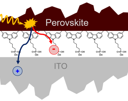 Die SAM-Schicht zwischen dem Perowskit-Halbleiter und dem ITO-Kontakt besteht aus einer einzigen Lage aus organischen Molekülen. Messungen von Oberflächenphotospannung und Photolumineszenz zeigen, über welche Mechanismen die SAM-Schicht Verluste reduziert.