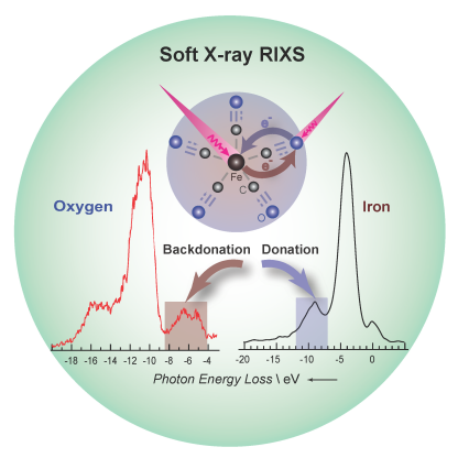 Fundamental processes: Charge donation/backdonation in the [Fe(CO)5] model catalyst in solution was studiedby resonant inelastic X-ray scattering. This method can be used to selectively probe the electronic structure at each atom in the iron-carbonyl bond. 