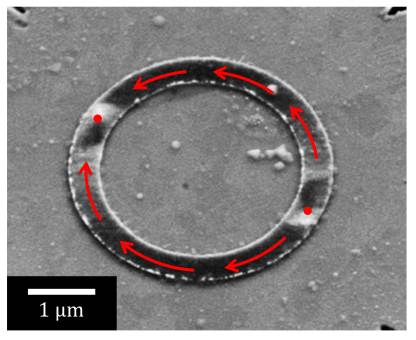 Rasterelektronenmikroskop-Aufnahme eines ferromagnetischen Ringes, die Magnetisierung (Schwarz-Weiss-Kontrast) zeigt entlang des Ringes und bildet zwei Domänenwände


