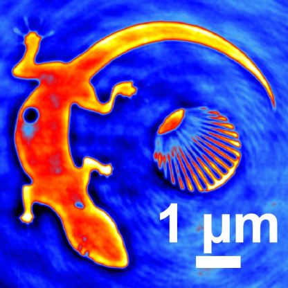 The outline of the lizard serves as a test object, as well as the conventional test pattern, a section of a so called Siemens star. The lizard&rsquo;s tail and the converging rays of the Siemens star can be used to measure how well narrow lines will be reproduced in an image. With a diameter of six thousandths of a millimetre, the entire test object is about the size of a red blood cell. The smallest resolved structure has a width of 46 nanometres. 