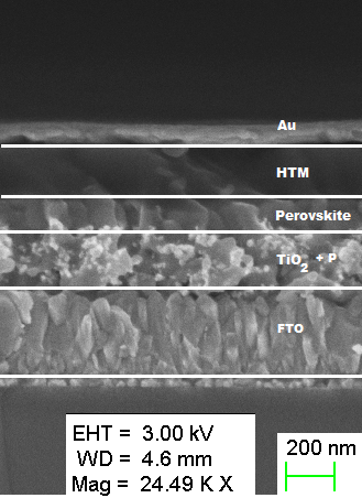 Diese Aufnahme mit einem Rasterelektronenmikroskop zeigt den Aufbau der Perowskit-Solarzelle: Auf einem Substrat (Glas und FTO) ist die Trägerstruktur aus hochporösem Titandioxid aufgebracht, in dessen Poren das Perowskit  eingelagert ist. Diese Schicht ist mit einer organischen Schicht (HTM) sowie einem Goldkontakt bedeckt.  
 